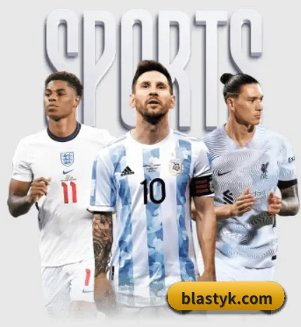 五大服务分区,信息按项目分类